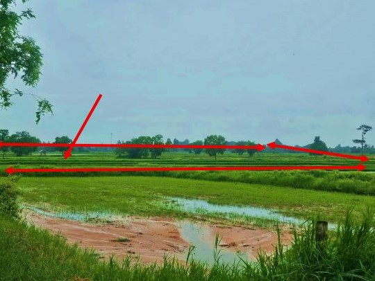 ขายทอดตลาด ที่ดินว่างเปล่า ต.ดอนเงิน อ.เชียงยืน จ.มหาสารคาม