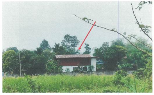 ขายทอดตลาด ที่ดินพร้อมสิ่งปลูกสร้าง ต.ท้ายดง อ.วังโป่ง จ.เพชรบูรณ์