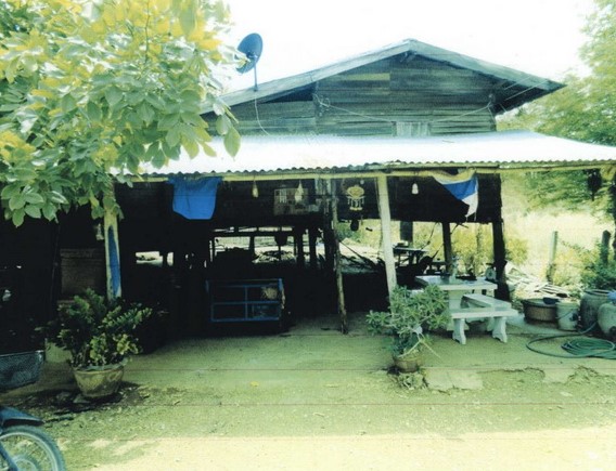 ขายทอดตลาด ที่ดินพร้อมสิ่งปลูกสร้าง ต.ดงขุย อ.ชนแดน จ.เพชรบูรณ์