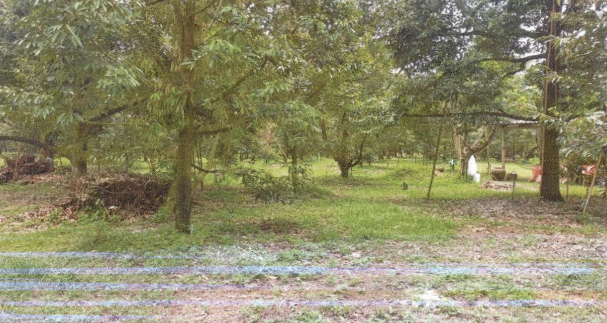 ขายทอดตลาด ที่ดินว่างเปล่า ต.รำพัน อ.ท่าใหม่ จ.จันทบุรี