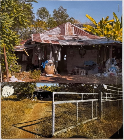 ขายทอดตลาด ที่ดินพร้อมสิ่งปลูกสร้าง ต.ท้ายดง อ.วังโป่ง จ.เพชรบูรณ์