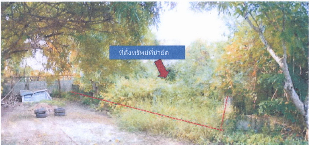 ขายทอดตลาด ที่ดินว่างเปล่า จ.เพชรบูรณ์