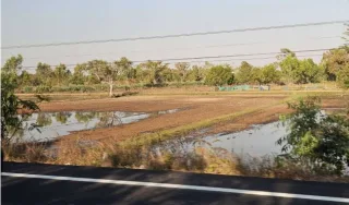 รูปทรัพย์ 1