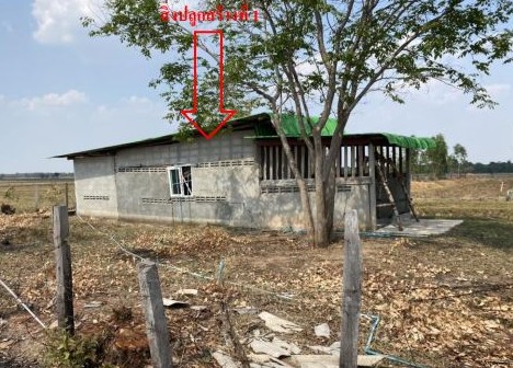 ขายทอดตลาด ที่ดินพร้อมสิ่งปลูกสร้าง ต.ภารแอ่น อ.พยัคฆภูมิพิสัย จ.มหาสารคาม