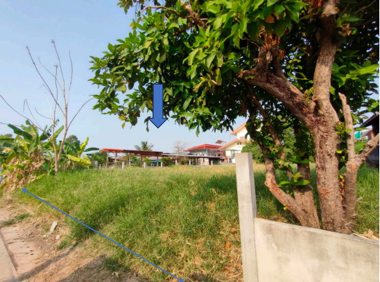 ขายทอดตลาด ที่ดินว่างเปล่า ต.แกดำ อ.แกดำ จ.มหาสารคาม