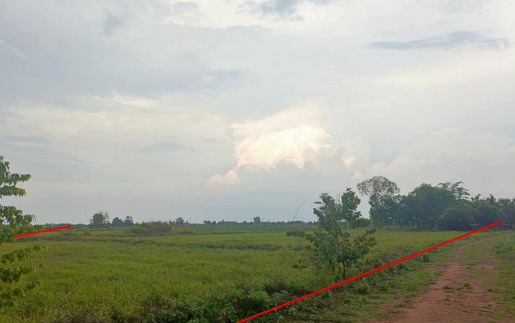 ขายทอดตลาด ที่ดินว่างเปล่า ต.แพง อ.โกสุมพิสัย จ.มหาสารคาม