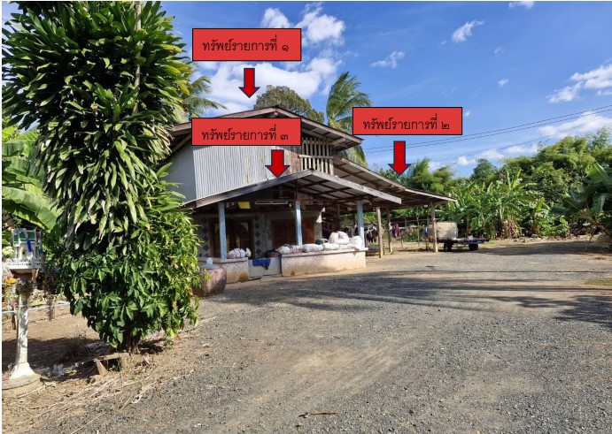 ขายทอดตลาด ที่ดินพร้อมสิ่งปลูกสร้าง ต.บ้านโคก อ.เมืองเพชรบูรณ์ จ.เพชรบูรณ์