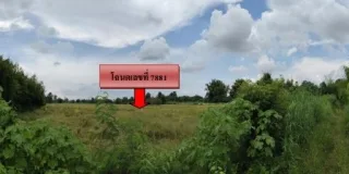 รูปทรัพย์ 1