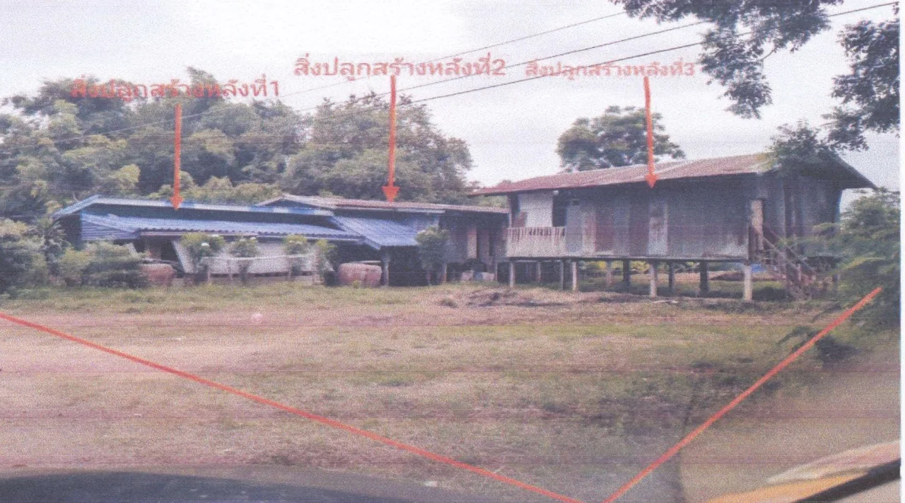 ขายทอดตลาด ที่ดินพร้อมสิ่งปลูกสร้าง ต.ระวิง อ.เมืองเพชรบูรณ์ จ.เพชรบูรณ์