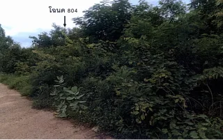รูปทรัพย์ 2