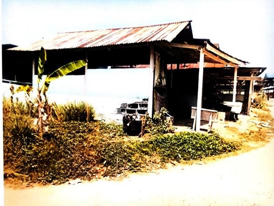 ขายทอดตลาด ที่ดินพร้อมสิ่งปลูกสร้าง ต.นาดูน อ.นาดูน จ.มหาสารคาม