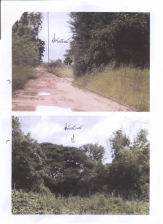 รูปทรัพย์ 2