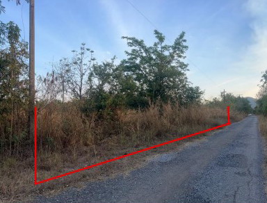 ขายทอดตลาด ที่ดินว่างเปล่า ต.ดงขุย อ.ชนแดน จ.เพชรบูรณ์