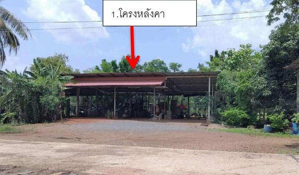 ขายทอดตลาด ที่ดินพร้อมสิ่งปลูกสร้าง ต.โพนทอง อ.เชียงยืน จ.มหาสารคาม
