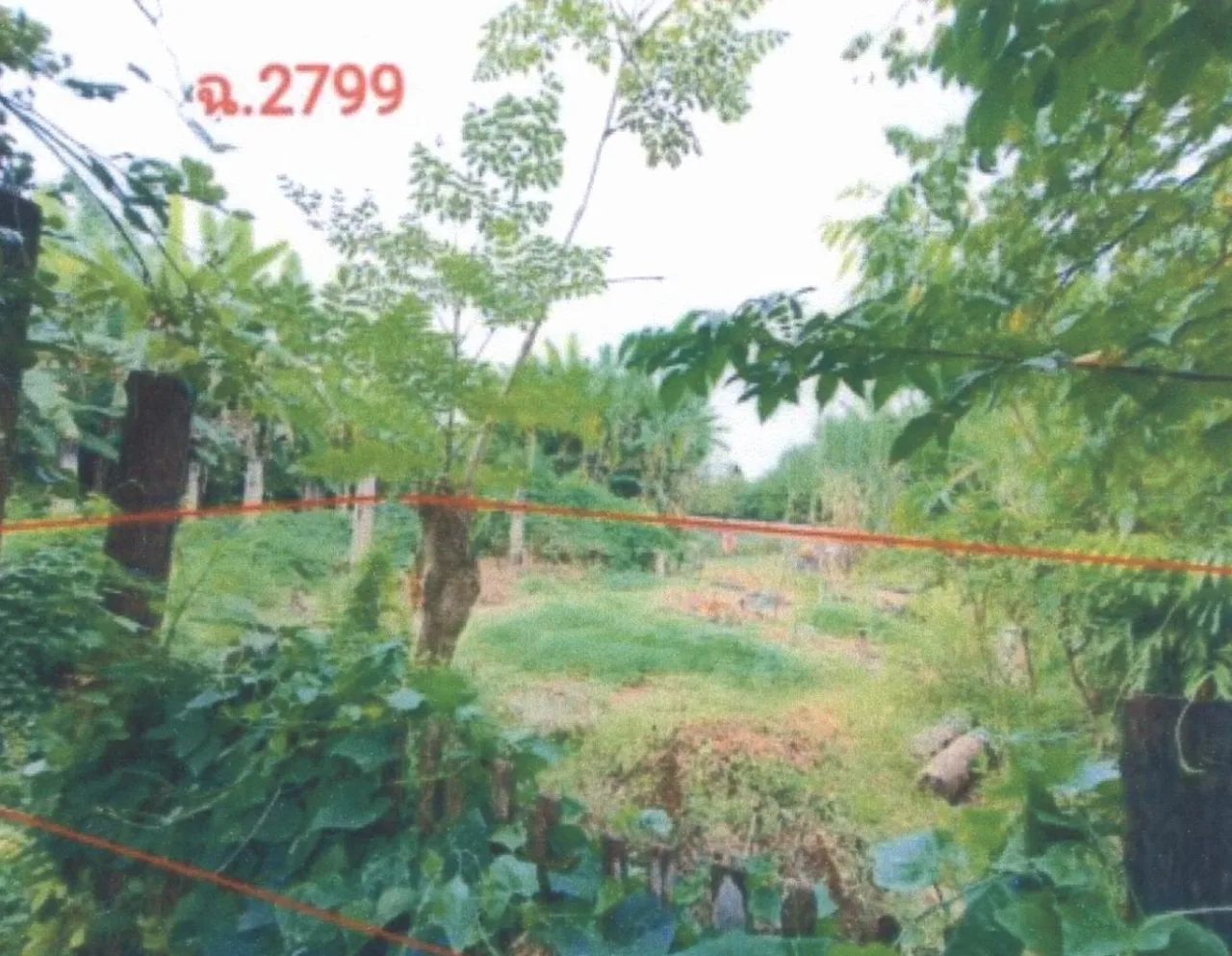 ขายทอดตลาด ที่ดินว่างเปล่า ต.หัวฝาย อ.สูงเม่น จ.แพร่