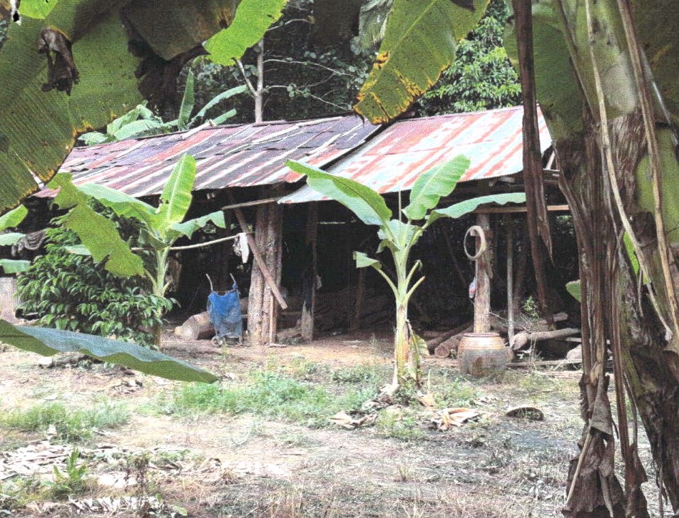 ขายทอดตลาด ที่ดินพร้อมสิ่งปลูกสร้าง ต.ห้วยไร่ อ.เด่นชัย จ.แพร่