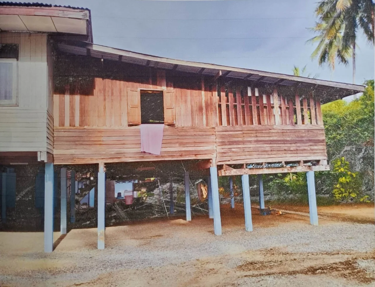 ขายทอดตลาด ที่ดินพร้อมสิ่งปลูกสร้าง ต.นายม อ.เมืองเพชรบูรณ์ จ.เพชรบูรณ์