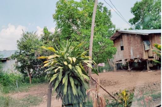 ขายทอดตลาด ที่ดินพร้อมสิ่งปลูกสร้าง ต.บ้านโคก อ.เมืองเพชรบูรณ์ จ.เพชรบูรณ์