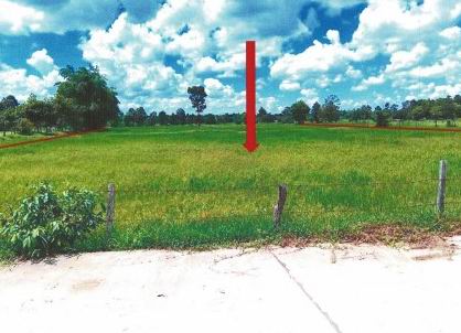 ขายทอดตลาด ที่ดินว่างเปล่า ต.แกดำ อ.แกดำ จ.มหาสารคาม