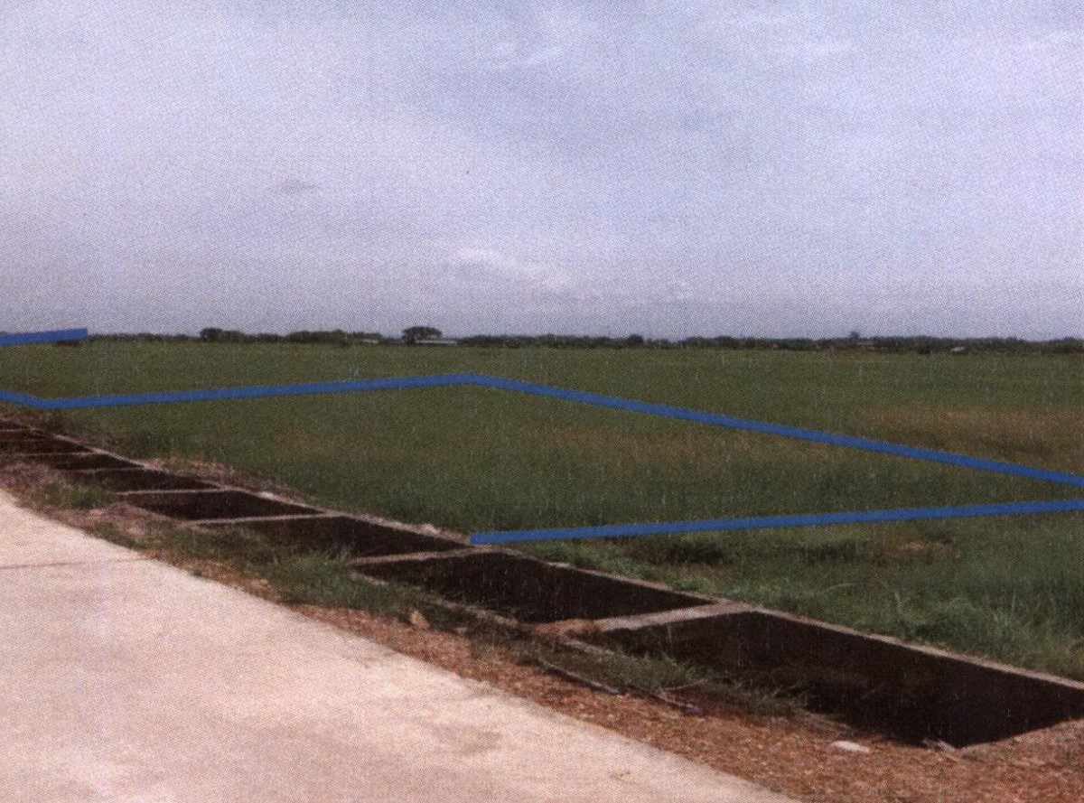 ขายทอดตลาด ที่ดินว่างเปล่า ต.วังหงษ์ อ.เมืองแพร่ จ.แพร่