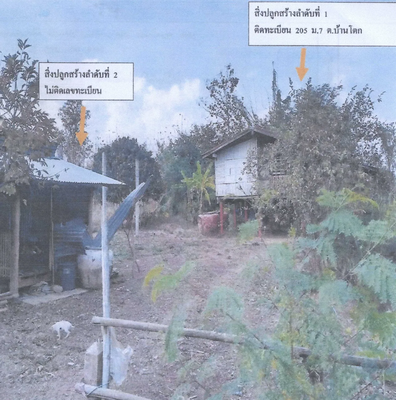 ขายทอดตลาด ที่ดินพร้อมสิ่งปลูกสร้าง ต.บ้านโตก อ.เมืองเพชรบูรณ์ จ.เพชรบูรณ์
