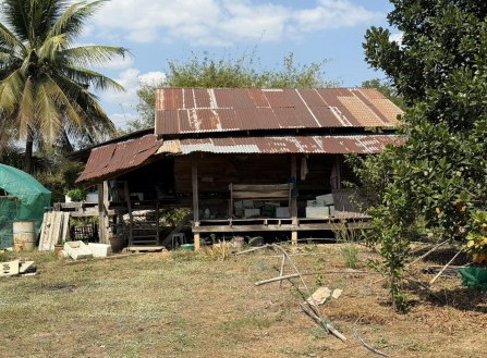 ขายทอดตลาด ที่ดินพร้อมสิ่งปลูกสร้าง ต.ระวิง อ.เมืองเพชรบูรณ์ จ.เพชรบูรณ์