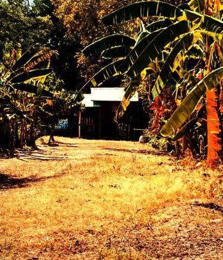 ขายทอดตลาด ที่ดินพร้อมสิ่งปลูกสร้าง ต.หนองไฮ อ.วาปีปทุม จ.มหาสารคาม