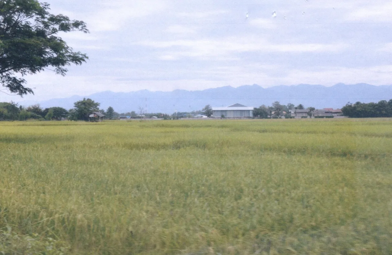 ขายทอดตลาด ที่ดินว่างเปล่า ต.เหมืองหม้อ อ.เมืองแพร่ จ.แพร่