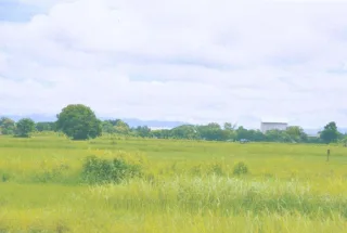 รูปทรัพย์ 2
