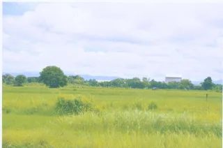 รูปทรัพย์ 3