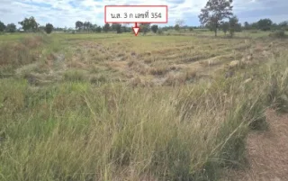รูปทรัพย์ 2