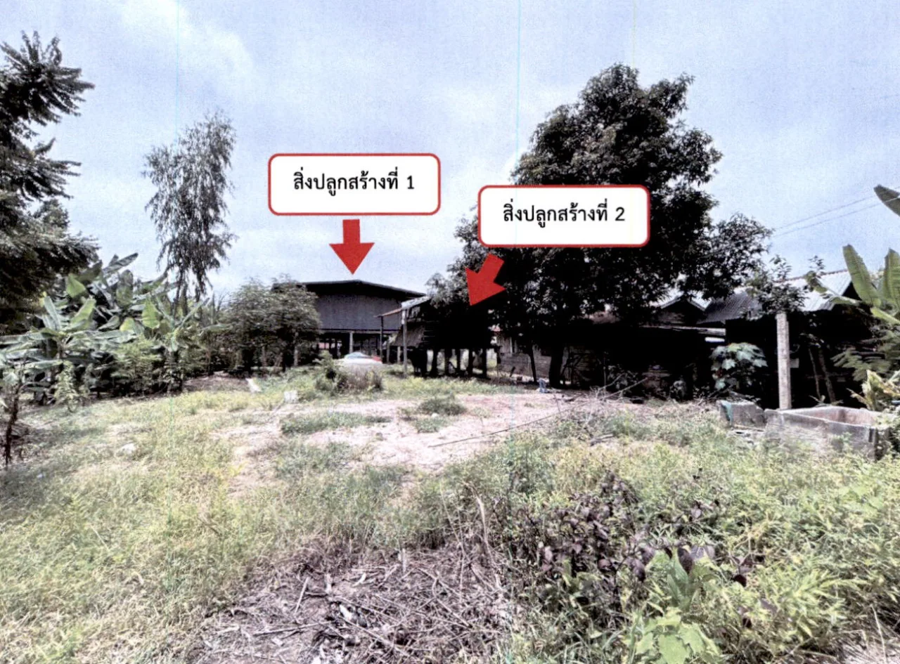 ขายทอดตลาด ที่ดินพร้อมสิ่งปลูกสร้าง ต.หัวหิน อ.ห้วยเม็ก จ.กาฬสินธุ์