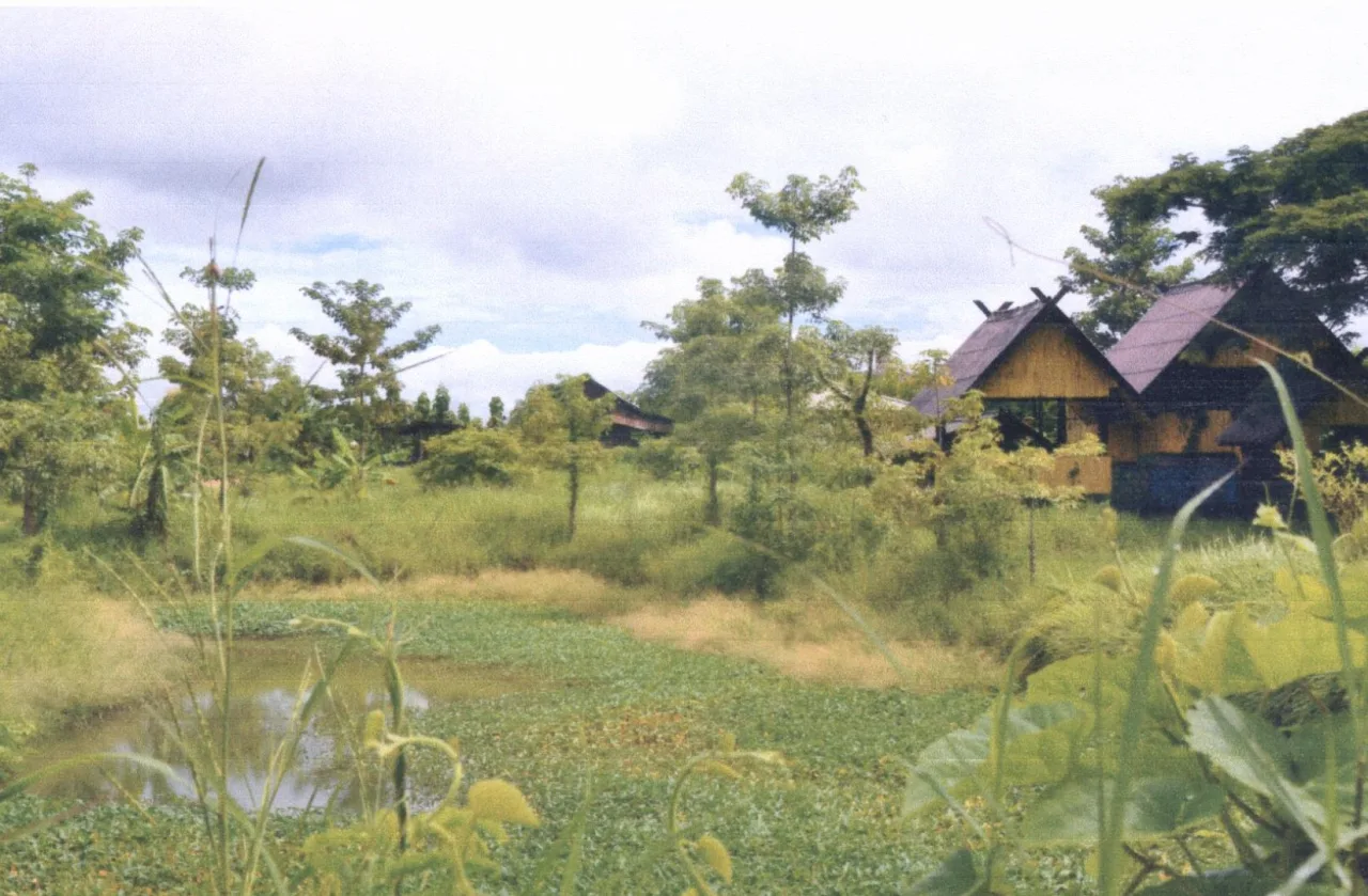 ขายทอดตลาด ที่ดินว่างเปล่า ต.ทุ่งกวาว อ.เมืองแพร่ จ.แพร่