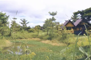 รูปทรัพย์ 1