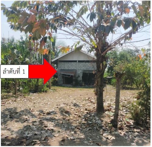 ขายทอดตลาด ที่ดินพร้อมสิ่งปลูกสร้าง ต.ป่าเลา อ.เมืองเพชรบูรณ์ จ.เพชรบูรณ์
