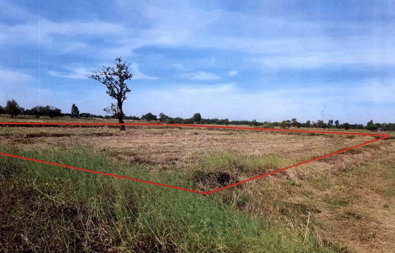 ขายทอดตลาด ที่ดินว่างเปล่า ต.หลุบ อ.เมืองกาฬสินธุ์ จ.กาฬสินธุ์