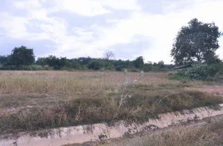 รูปทรัพย์ 2