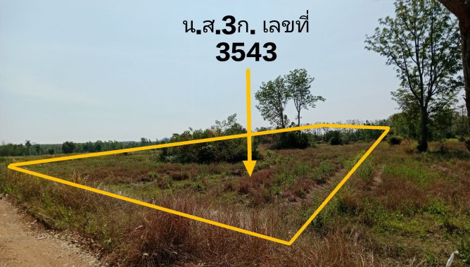 ขายทอดตลาด ที่ดินว่างเปล่า จ.เพชรบูรณ์