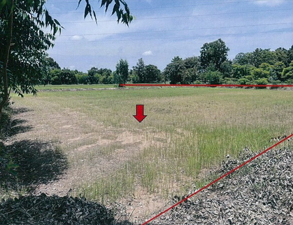 ขายทอดตลาด ที่ดินว่างเปล่า ต.พระธาตุ อ.นาดูน จ.มหาสารคาม