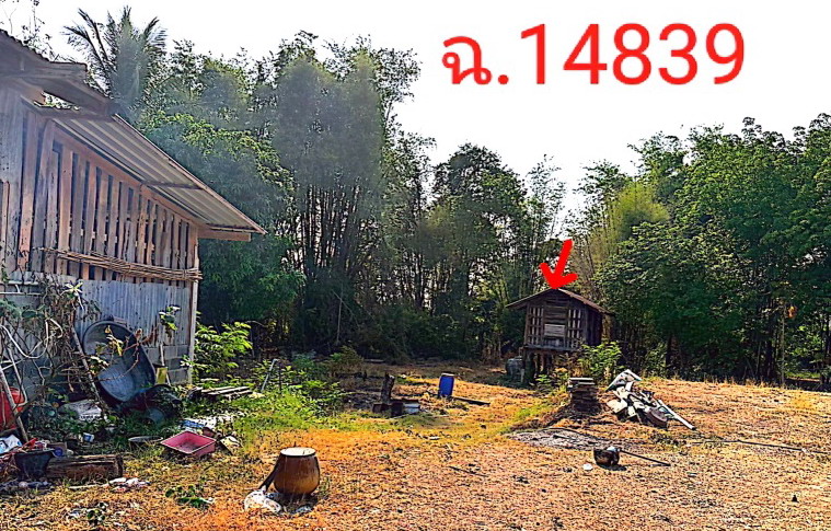 ขายทอดตลาด ที่ดินพร้อมสิ่งปลูกสร้าง ต.นามะเขือ อ.สหัสขันธ์ จ.กาฬสินธุ์