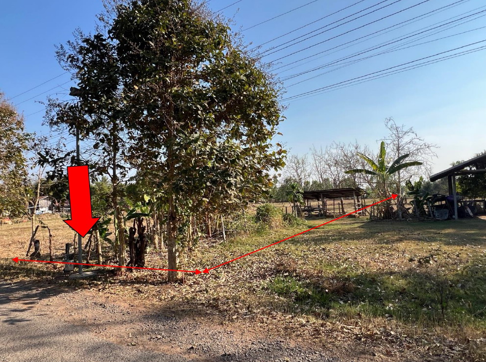 ขายทอดตลาด ที่ดินพร้อมสิ่งปลูกสร้าง ต.ห้วยเตย อ.กุดรัง จ.มหาสารคาม