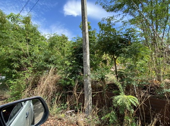 ขายทอดตลาด ที่ดินว่างเปล่า ต.ขามเฒ่าพัฒนา อ.กันทรวิชัย จ.มหาสารคาม