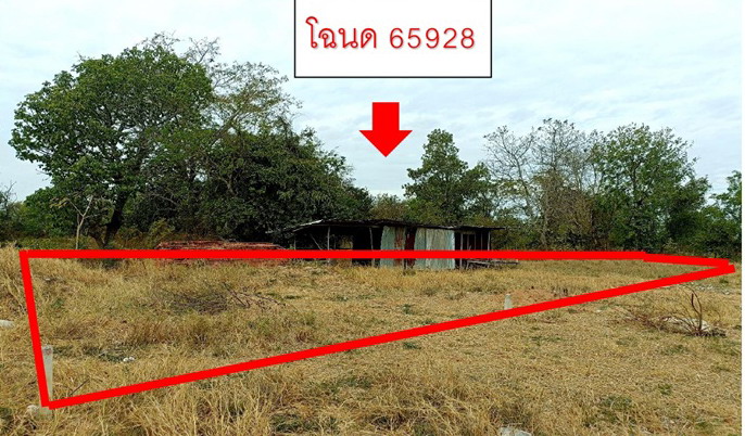 ขายทอดตลาด ที่ดินว่างเปล่า จ.มหาสารคาม