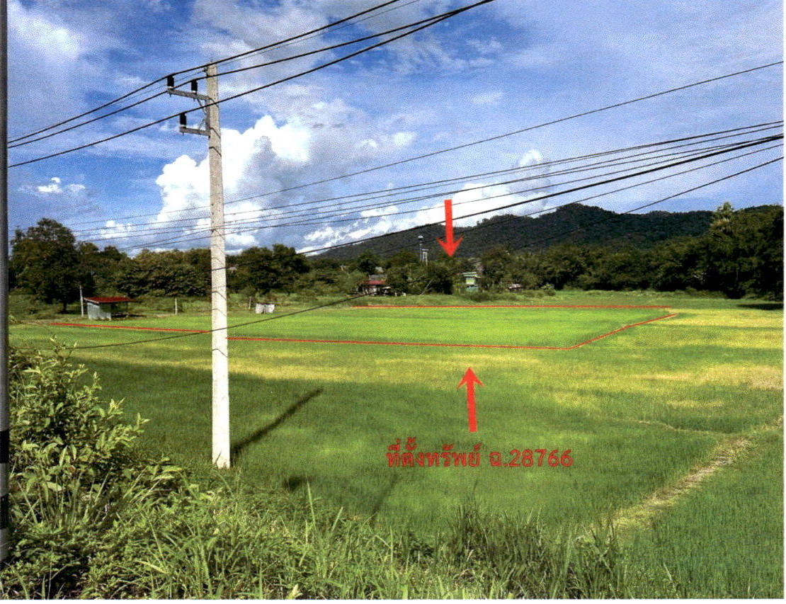 ขายทอดตลาด ที่ดินว่างเปล่า จ.แพร่