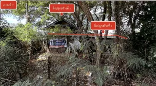 รูปทรัพย์ 2