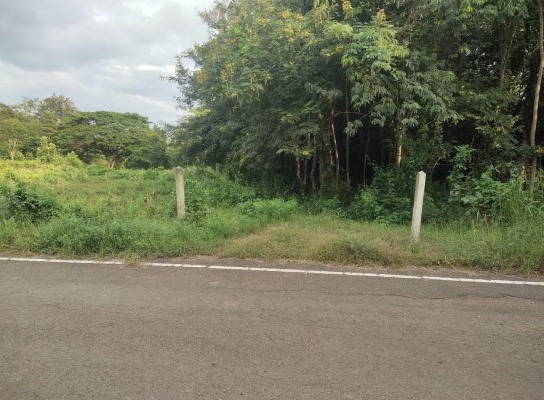 ขายทอดตลาด ที่ดินว่างเปล่า ต.นาป่า อ.เมืองเพชรบูรณ์ จ.เพชรบูรณ์