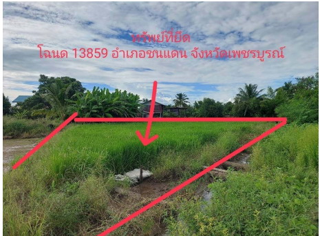 ขายทอดตลาด ที่ดินว่างเปล่า ต.ท่าข้าม อ.ชนแดน จ.เพชรบูรณ์