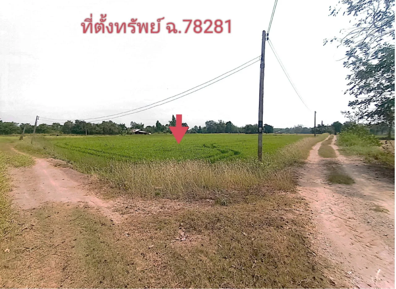 ขายทอดตลาด ที่ดินว่างเปล่า ต.เขวาไร่ อ.โกสุมพิสัย จ.มหาสารคาม