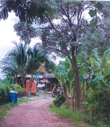 ขายทอดตลาด ที่ดินพร้อมสิ่งปลูกสร้าง ต.ตะกุดไร อ.ชนแดน จ.เพชรบูรณ์