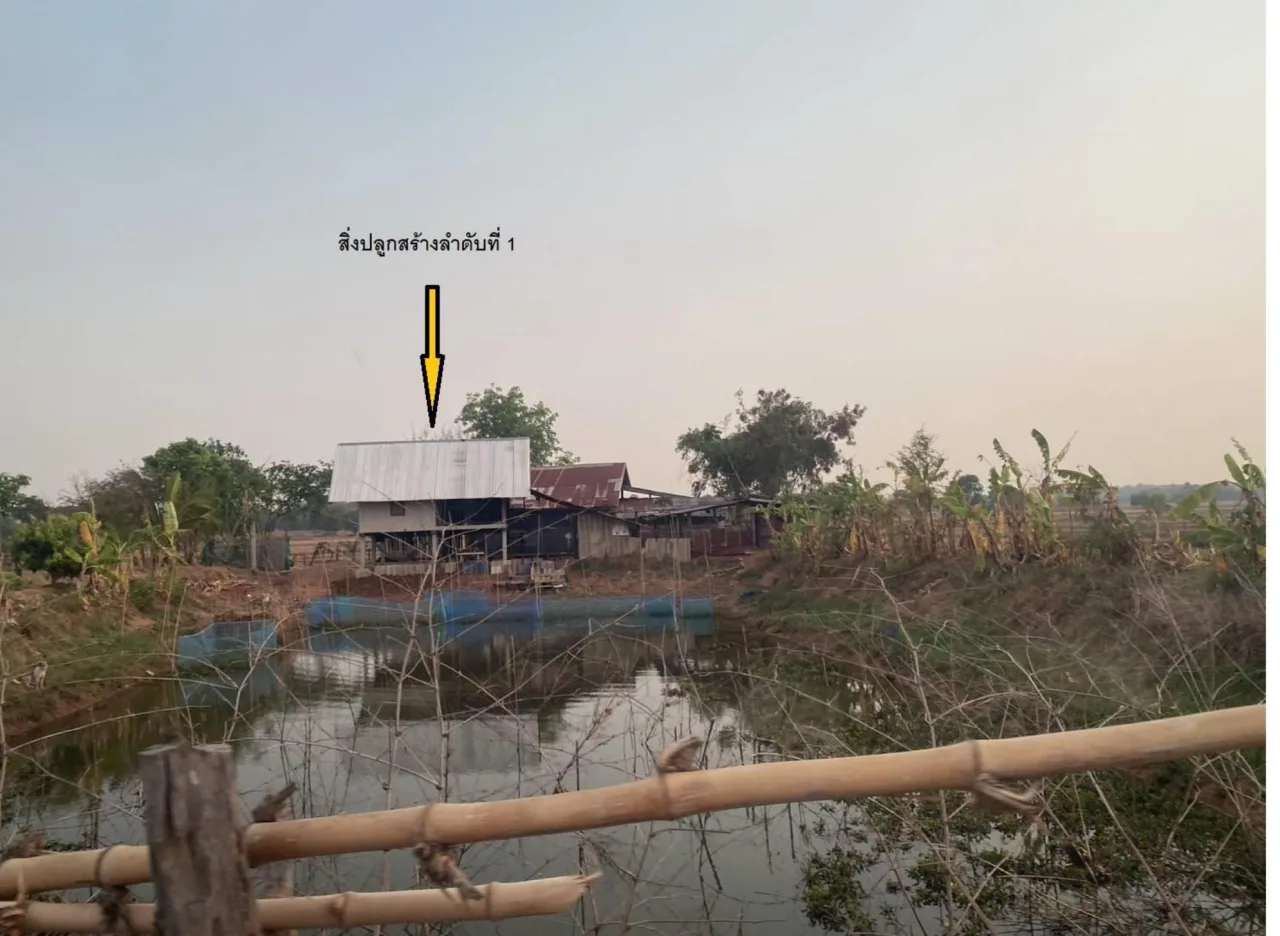 ขายทอดตลาด ที่ดินพร้อมสิ่งปลูกสร้าง ต.กู่ทอง อ.เชียงยืน จ.มหาสารคาม